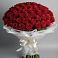101 Красная роза Блэк Мэджик в Тумботино Букет 101 Красная роза Блэк Мэджик в Тумботино