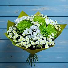 Букет скромность  в Тумботино Букет цветов из:  Хризантемы в Тумботино