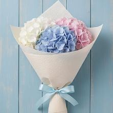 Букет цветов из:  Гортензия в Тумботино