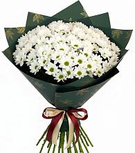 Букет море ромашек в Тумботино Букет цветов из:  Хризантемы в Тумботино