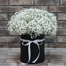 Цветочная композиция из Гипсофила в шляпной коробке в Тумботино